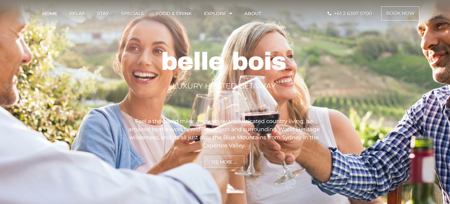 2 ladies and 2 men sitting down enjoying a meal and clinking their red wine glasse