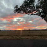 Looking over the paddocks at a Capertee valley sunset from Glen Davis Rd, framed by a tree.