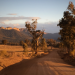 Picture taken from Glen Alice Rd in the Capertee valley, looking South towards Mount Canobla. Tree in the foreground while Mount Canobla is in the background on the left.