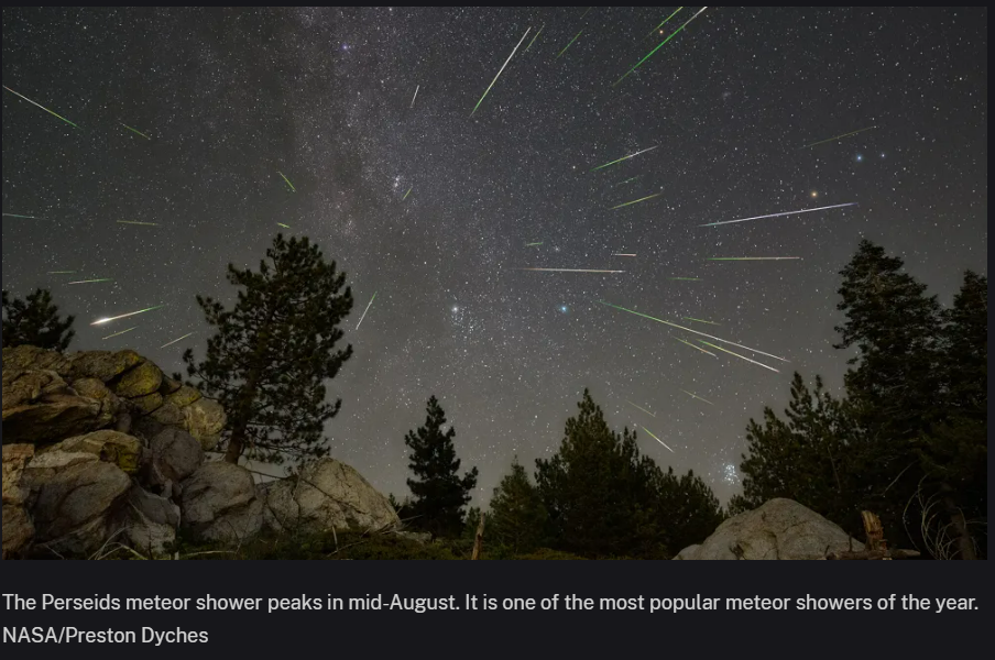 Night sky during the Perseids meteor shower with the dark outline of trees in the foreground. NASA/Preston Dyches
